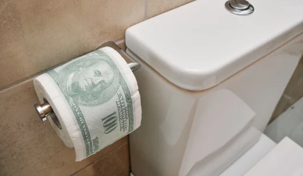 Sunnah Currency's Satire Column: Pass me the loo-roll-$$$ please...